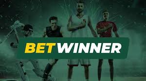 Explore Cricket Betting at BetWinner CI A Complete Guide